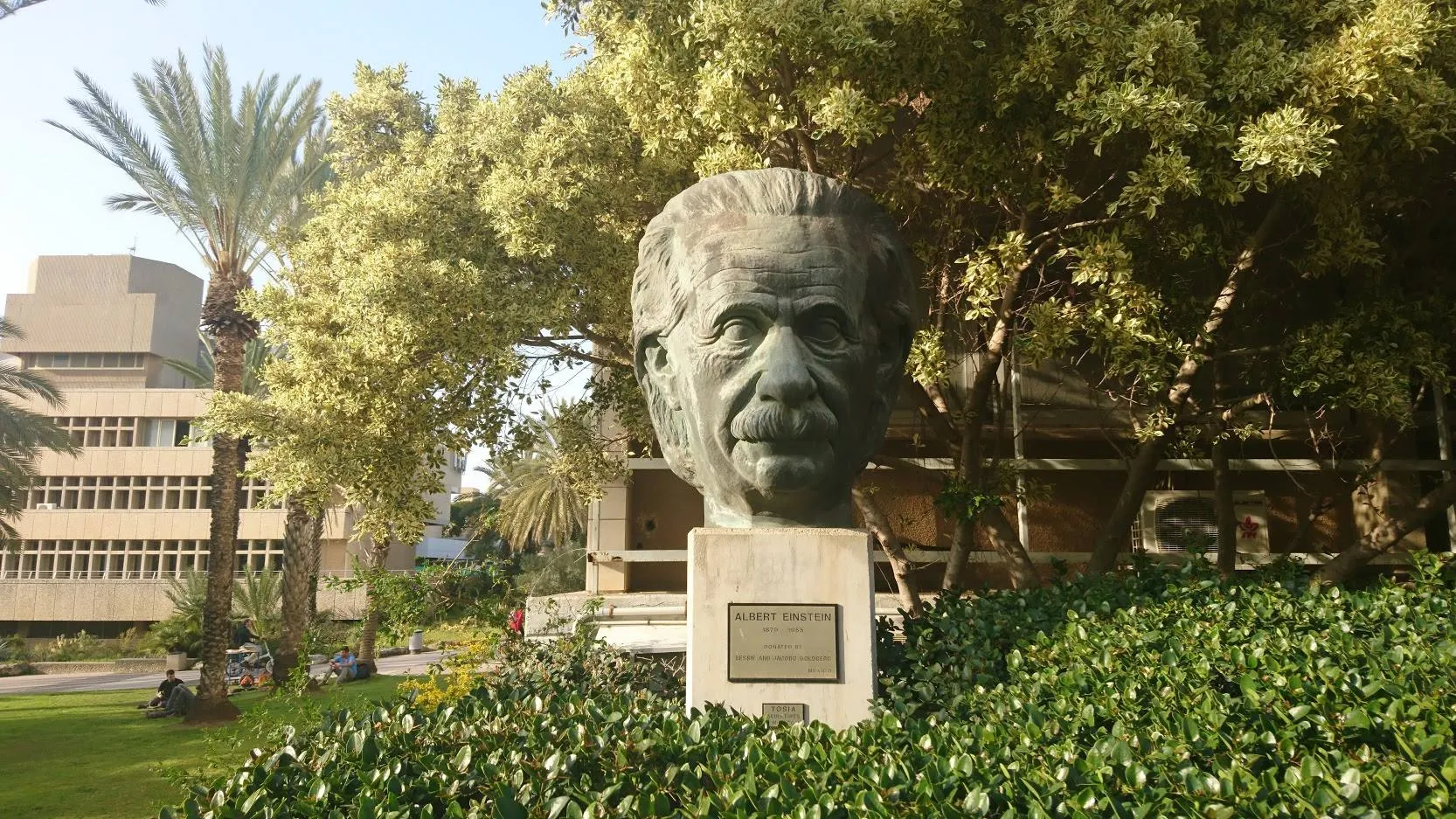 Photograph of TAU campus